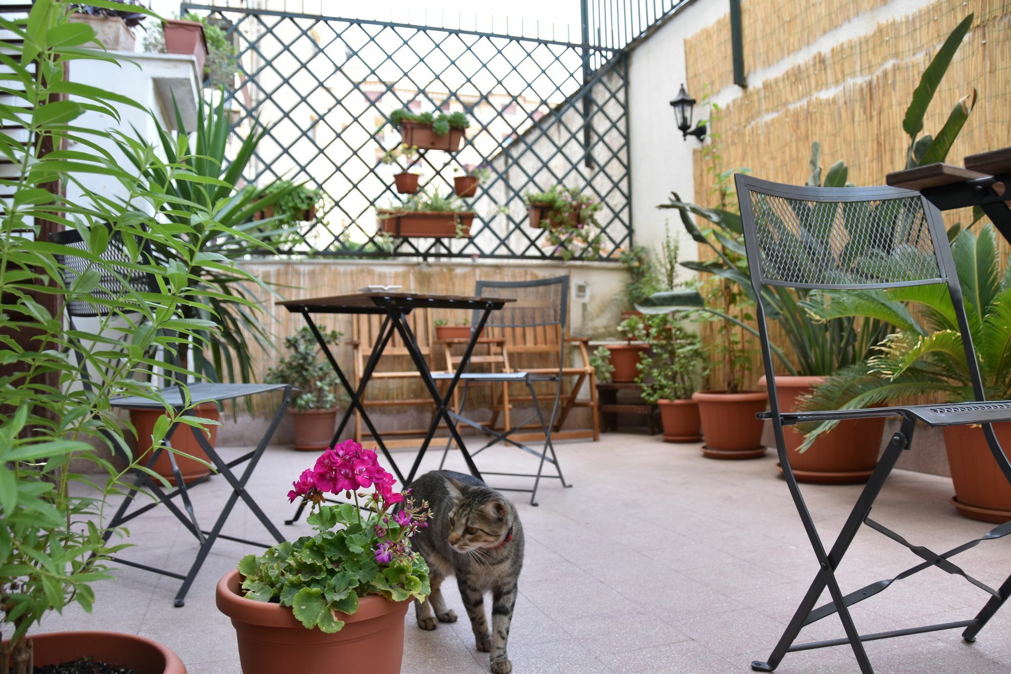 Il Lapino Hotel Palermo Buitenkant foto