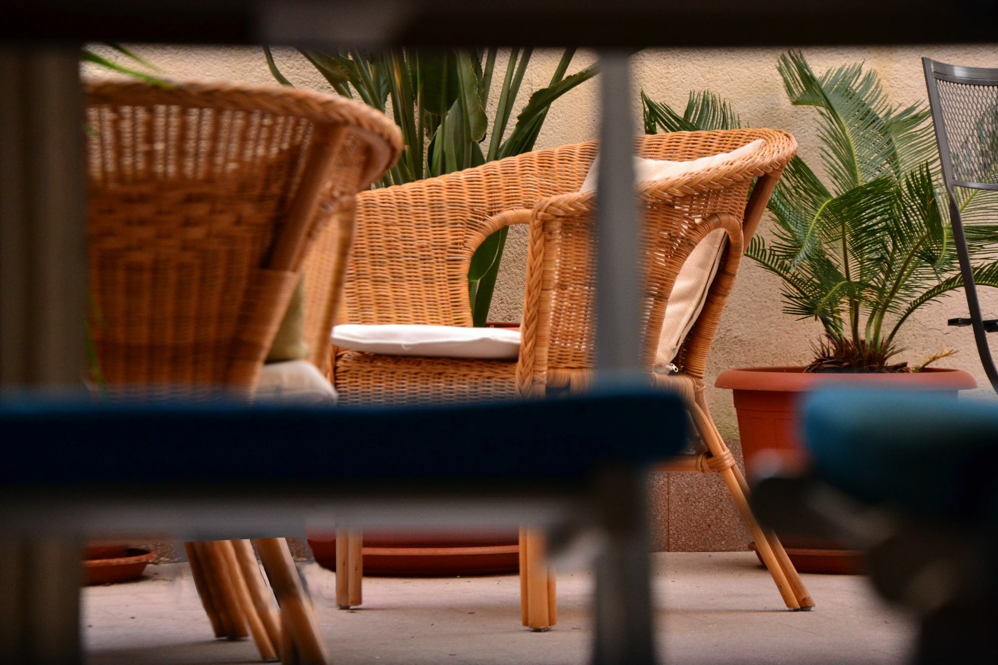 Il Lapino Hotel Palermo Buitenkant foto
